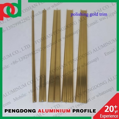 Aluminiumprofielen die de Decoratieve het Scherpen Populaire Zilveren en Gouden Kleur van de Tegelversiering oppoetsen